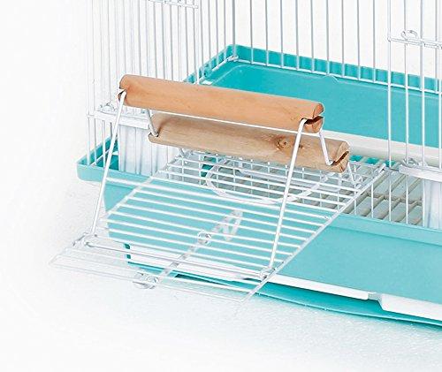 Minimal Land Bird Cage Bird Palace Palm Aqua S Size