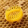 6Pcs Durable Queen Bee Rearing Box Plastic Bee Rearing Tool Ventilated Queen Bee Cage  Beekeeping