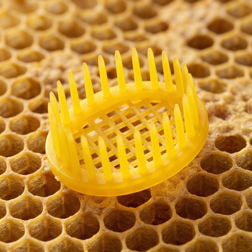 6Pcs Durable Queen Bee Rearing Box Plastic Bee Rearing Tool Ventilated Queen Bee Cage  Beekeeping