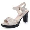 New 35-41 Women Sandals Woman Summer 2024 Female Dress High Heel Shoes Platform Sandal Designer Shoes Women Luxury High Quality