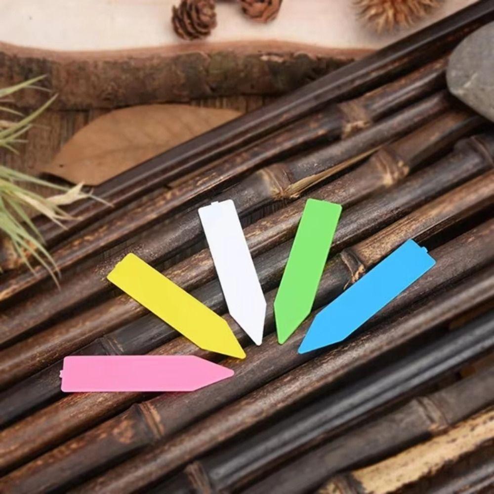 100Pcs Plastic Material Plant Tags 5*1cm Size DIY Tool Plant Markers Waterproof Reusable Gardening Tags Plant Accessories