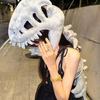 Dinosaur Skeleton Costume Realistic Plush 3D Dinosaur Skull Headpiece And Spine Costume Set for Halloween Cosplay