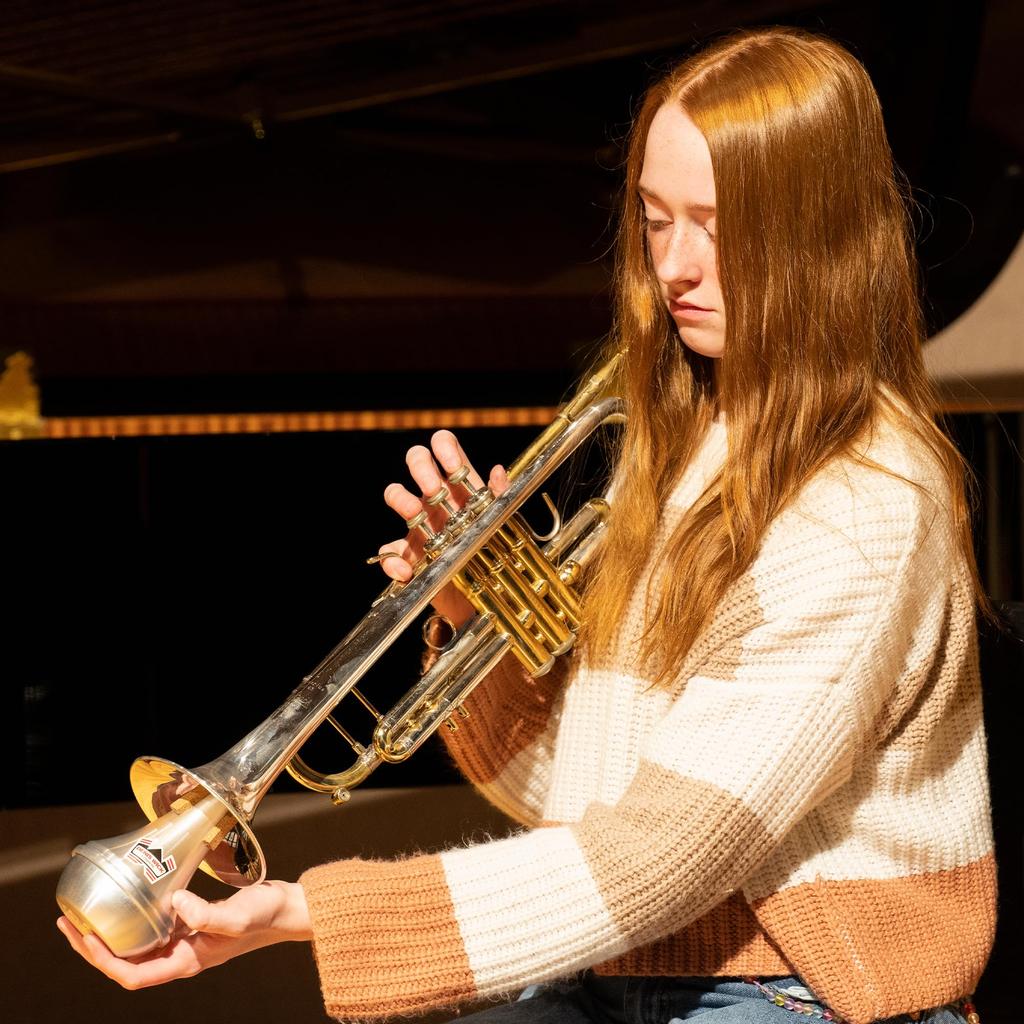 Denis Wick Trumpet Cornet Mute Aluminum 5504