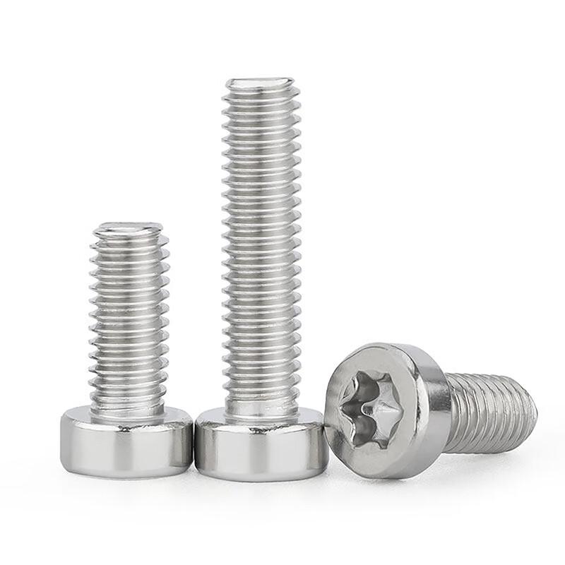 304 Stainless Steel Socket Head Torx Screw