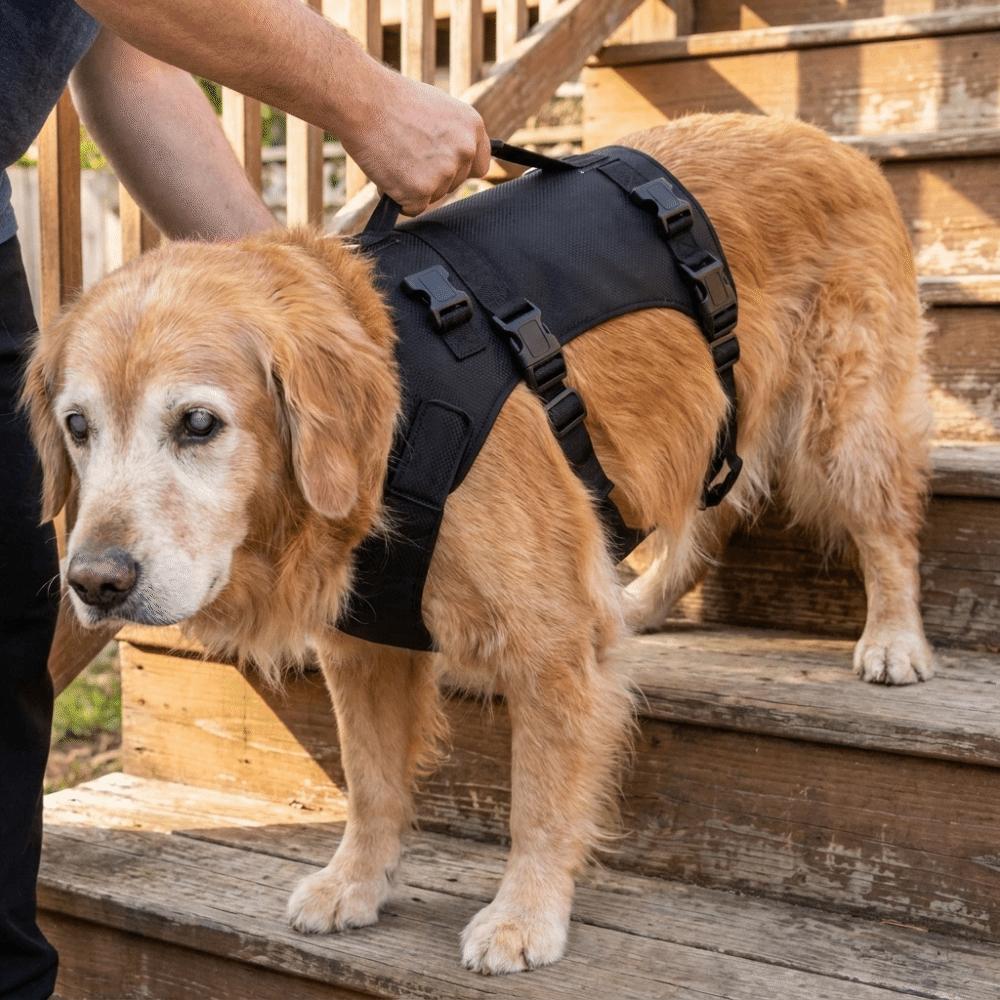 Full Body Support Dog Lift Harness Adjustable Dog Harness  Help for Weak Hind Legs, Stairs & Cars