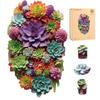 Delobil Wooden Jigsaw Succulent Plant 500 Completed As a Wall Perfect for Durable 5mm Thick Puzzle with Uniquely Shaped and Precisely Cut Ideal Gift