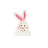 White and Pink Printed Rabbit Bag 24 Cm