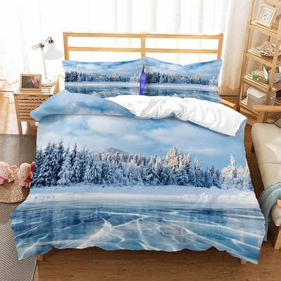 Frozen Lake Duvet Cover Sets For Teens Queen Lightweight Quilt Cover With 2 Pillowcase Winter Themed Bedding Sets No Comforter