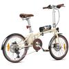 Maxtron Smart20 Leichtes Elektrofahrrad – 250W Motor, 36V 5,2Ah Akku