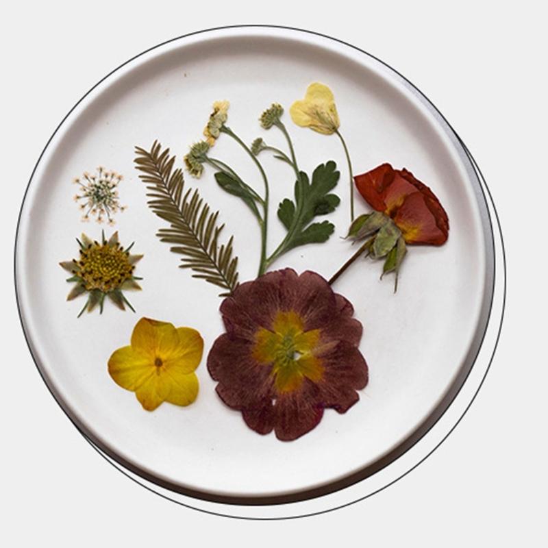 Natural Pressed Dried Flower For Epoxy Resin Dry Flowers and Leaves Set for Soap Candle Jewelry Making Scrapbooking