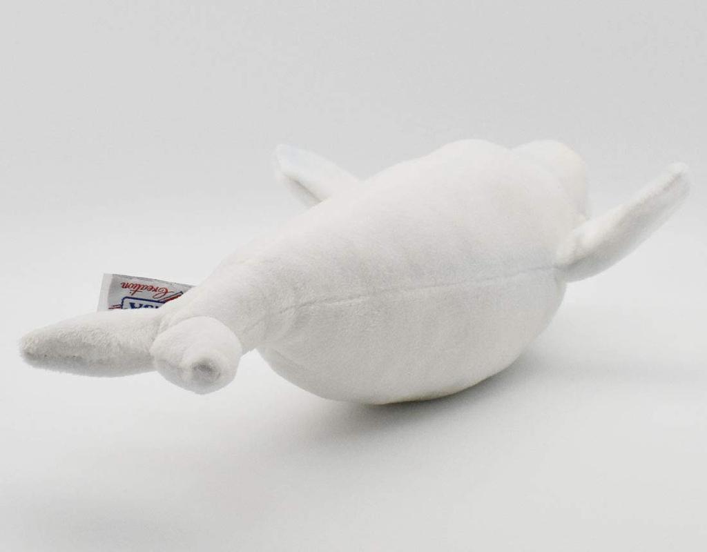 BH6626 HANSA Beluga 42