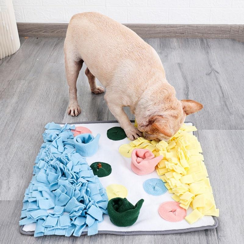interactive dog mat