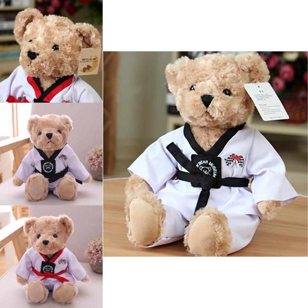 Wholesale Taekwondo Teddy Bear Plush Toy Martial Arts Gift With Logo Rose Velvet Filling 30cm