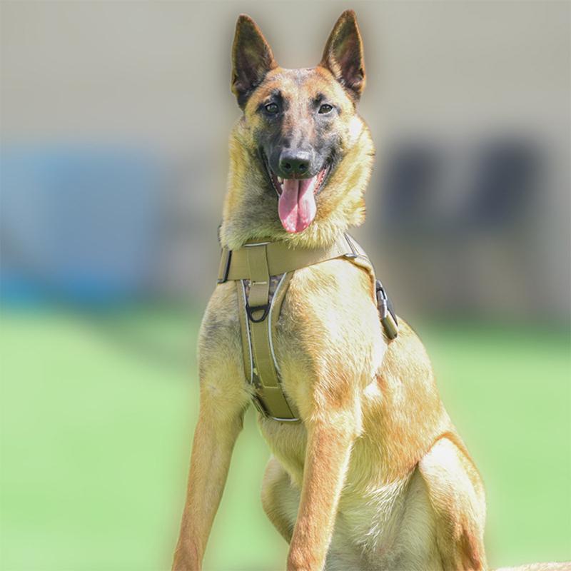 K9 Large Dog Training Harness Reflective Vest Harness Pet Traction Rope For Medium Large Dogs