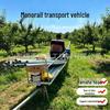 Hobby-uri și stil de viață – Călătorii și transport