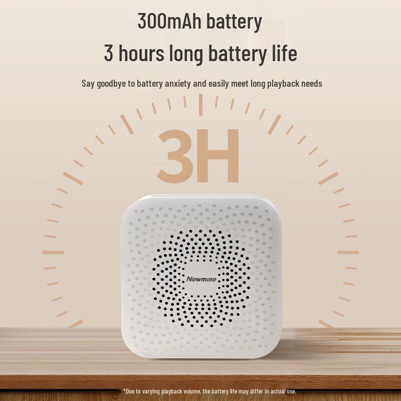 Newmine BT520 HiFi Portable Bluetooth Speaker