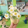 Fairy Garden Doll Accessories Miniature Greenery Bonsai Dollhouse Plant Potted Mini Floral Basket