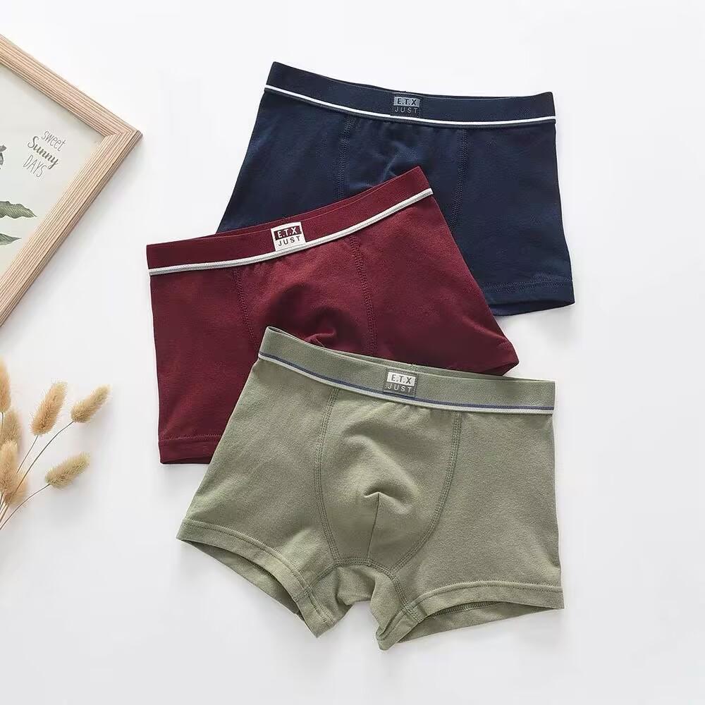 5st/lot Pojkar Underkläder Boxer Barn Shorts Trosor Bomull Pojkar Kalsonger 100-160
