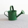 Kettle Ornament Drop-resistant Opening Design Creative Decorative Galvanized Iron Flower Planting Pot Watering Can Home Garden