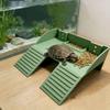 Double Ladder Turtle Basking Platform Plastic Feeding Platform  Aquatic Turtles