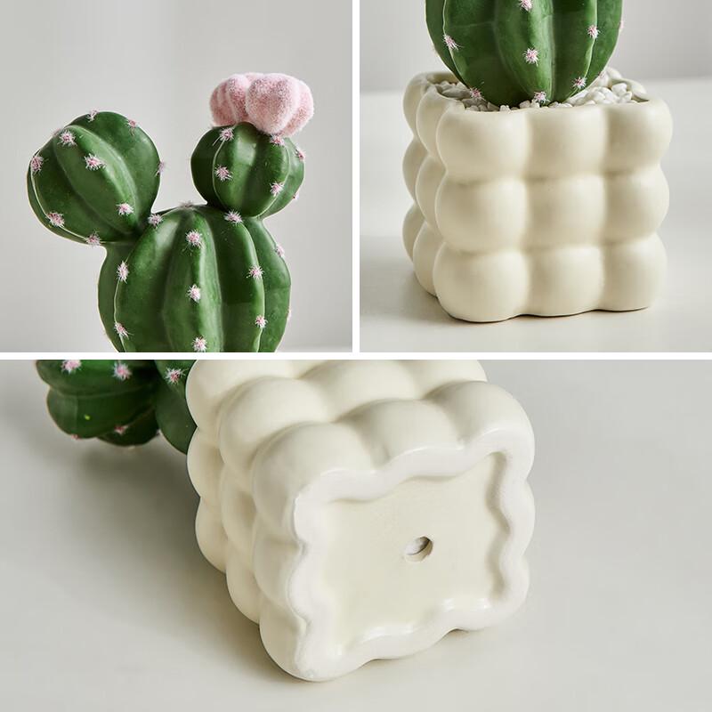 Artificial Cactus Succulent Plant with Glass Pot