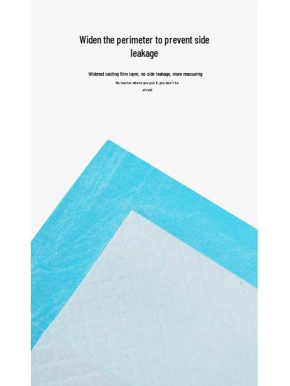 Thickened Absorbent Waterproof Pet Training Pad for Dogs, Cats, Rabbits, and Teddies