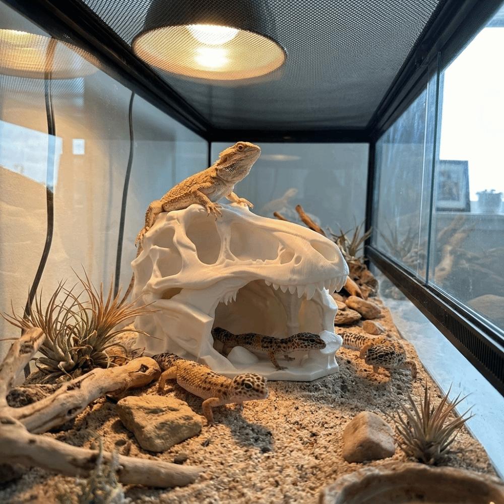 Lifelike Dinosaur Landscape Ornament 3D Printed Fish Hollow Shelter Fish Tank Ornament  Terrarium
