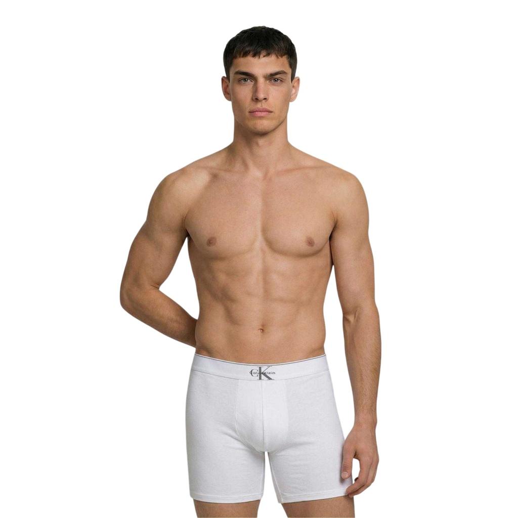 Calvin Klein Mens Cotton Boxer Briefs (Pack of 3)