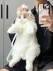 Ragdoll Cat Plush Backpack and Kitten Pillow Toy Gift