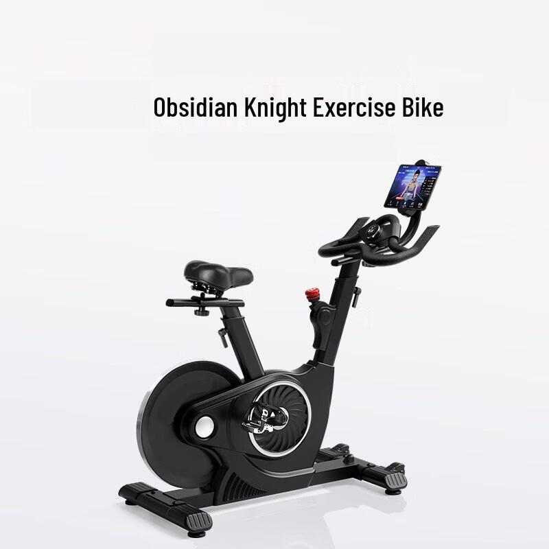 Tancognizer Home Magnetic Spin Bike