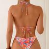 Print Two Piece Bikini Fashion Sexy For Beach And Hot Spring Holiday