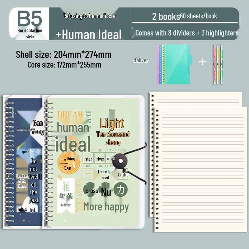 B5 Detachable Coil Ring Binder Thickened Notebook - High Aesthetic Ins Style