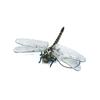 Toys PVC Animal Model 12cm Insects Model Dragonfly Action Figures Dragonfly Model Animal Figures