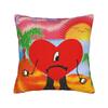 Debí Tirar Más Fotos DTmF Square Pillow Cases Bad Bunny Album Cushion Cover Awesome Decor Throw Pillow Case Cover for Home 18"