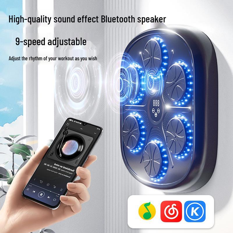 Bluetooth Smart Boxing Target for Home Fitness and Training