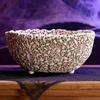 Resin Decorative Skull Bowl with Detailed Skeleton Design for Candy Storage and Display Not Suitable for Direct Food Contact