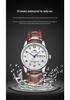 Wolis Luxury Waterproof Men's Day-Date Luminous Watch