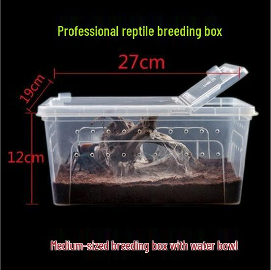 Reptile Habitat Tank for Silkworms, Spiders, Frogs, Snakes, Lizards, Snails, Insects, and Turtles