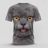 Cat Squirrel T-Shirt Men Colorful Geometry Pattern 3D Printed Tees Summer Fashion Casual Street O-Neck Short Sleeve T-Shirts