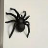 Halloween Spider Figure Gothic Horror Tabletop Ornament Cast Iron Spider Halloween Decoration For Mantel Windowsill Haunted