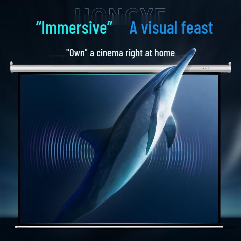 Hong Ye 120-inch Projector Screen