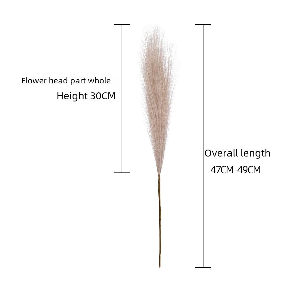 INS Style Artificial Pampas Reed Flowers for Home Decoration and Weddings