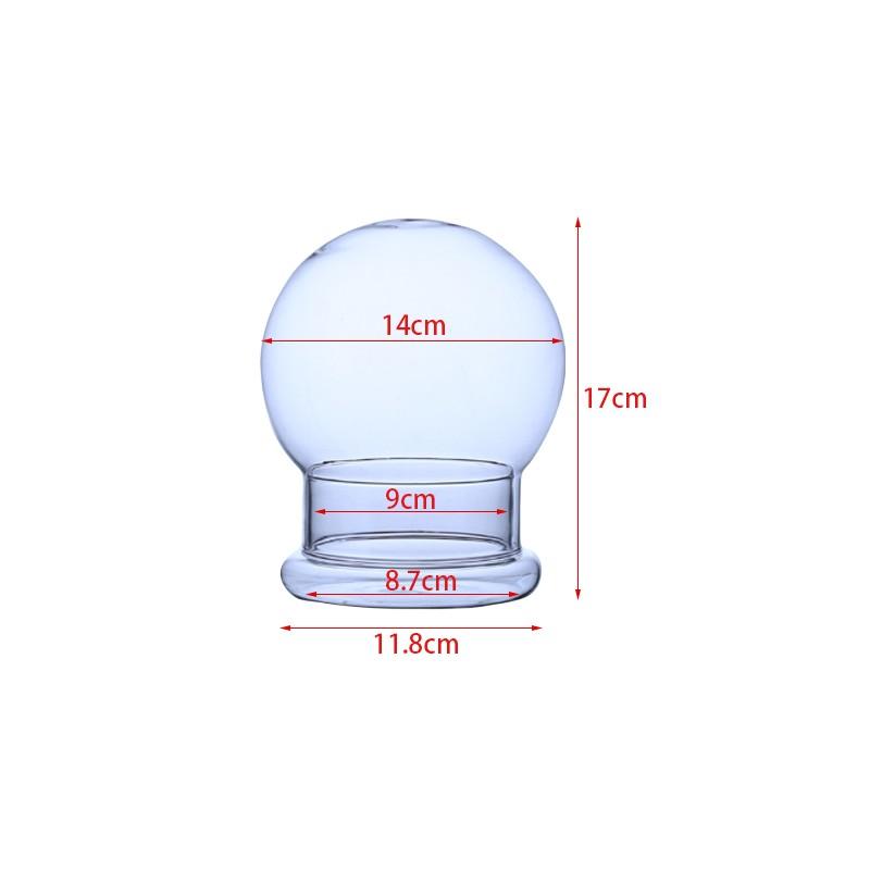 Clear Glass Dome with Airhole Glass Cloche Bell Jar with Base Home Tabletop Display Plant Flower Terrarium Container Home Decor