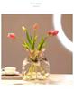 Vase glass gradual change color newChinese creative irregular shape suitable for living room table hydroponic flower arrangement