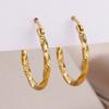 Classic Twist Hoop Earrings For Women Girls Stainless Steel Gold Color Earrings Punk  Jewelry Pendientes Mujer