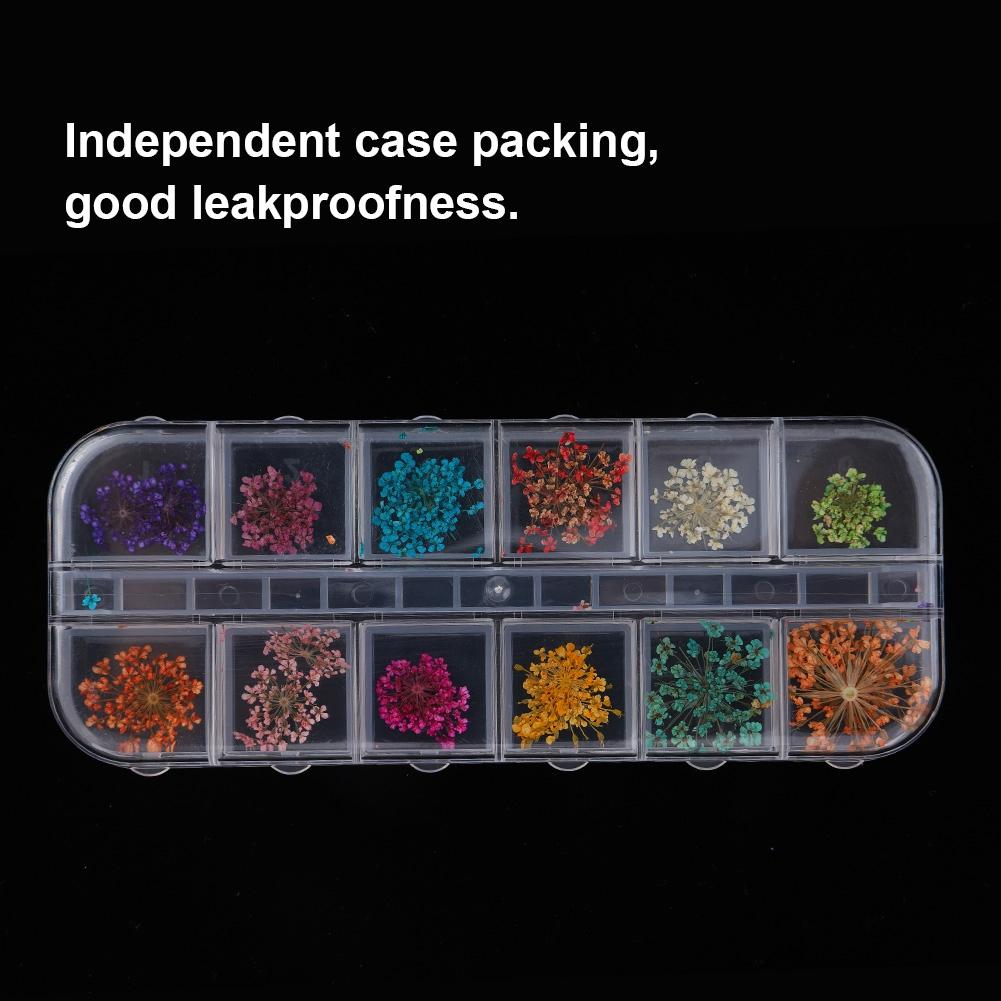 12 Colors Natural Dried Flower for Acrylic UV Gel Nail Art Tips Design Case DIY Decor A