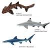 Carolata 3D Illustrated Guide to Sharks (12 Figures / Includes Instruction Manual and Stand) Realistic Toy (Educational Toy) Birthday Gift (Food Sanit