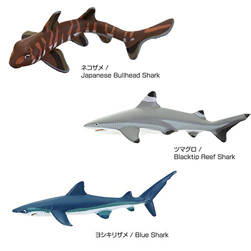 Carolata 3D Illustrated Guide to Sharks (12 Figures / Includes Instruction Manual and Stand) Realistic Toy (Educational Toy) Birthday Gift (Food Sanit