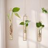 Wall Hanging Test Tube Vases Thickened Glass Vase Gardening Supplies Hanging Glass Planter  Garden
