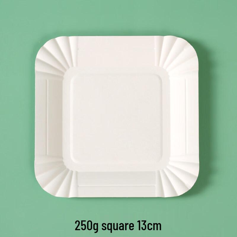Thickened Disposable Pulp Paper Plates